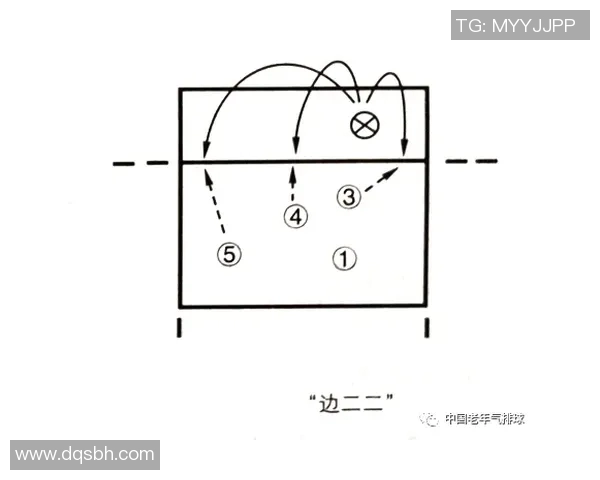 广州排球队反击战术分析与赛季表现的得失评估